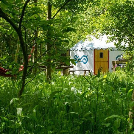 Plush Tents Yurt Village ชิชิสเตอร์ ภายนอก รูปภาพ