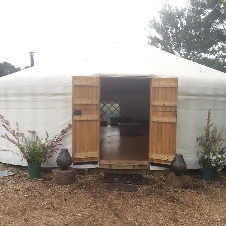 Plush Tents Yurt Village ชิชิสเตอร์ ภายนอก รูปภาพ