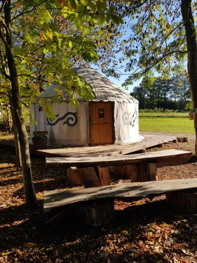 Plush Tents Yurt Village ชิชิสเตอร์ ภายนอก รูปภาพ