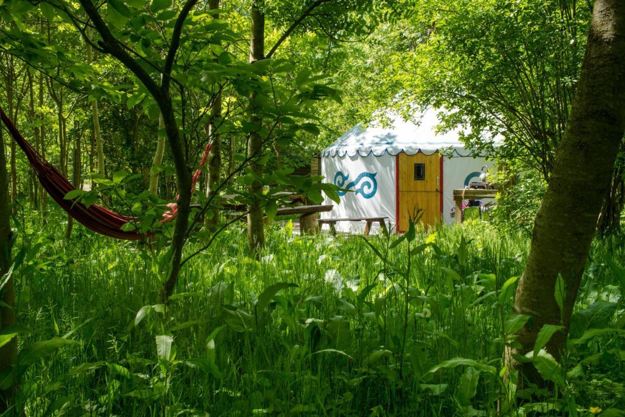 Plush Tents Yurt Village ชิชิสเตอร์ ภายนอก รูปภาพ