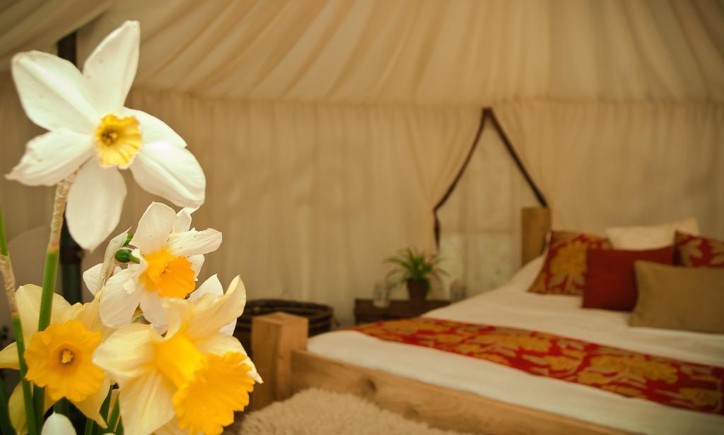Plush Tents Yurt Village ชิชิสเตอร์ ห้อง รูปภาพ