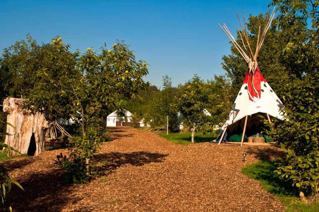 Plush Tents Yurt Village ชิชิสเตอร์ ภายนอก รูปภาพ