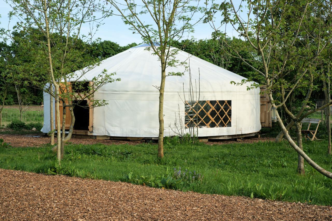 Plush Tents Yurt Village ชิชิสเตอร์ ภายนอก รูปภาพ