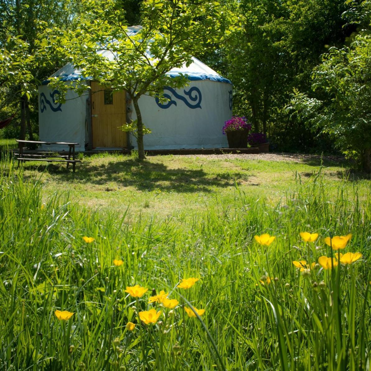 Plush Tents Yurt Village ชิชิสเตอร์ ภายนอก รูปภาพ