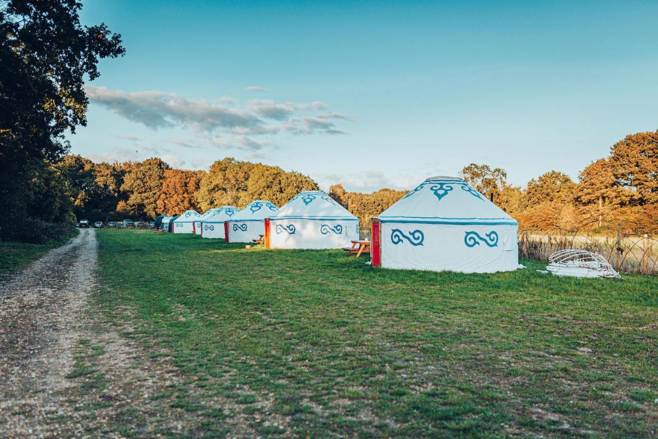 Plush Tents Yurt Village ชิชิสเตอร์ ภายนอก รูปภาพ